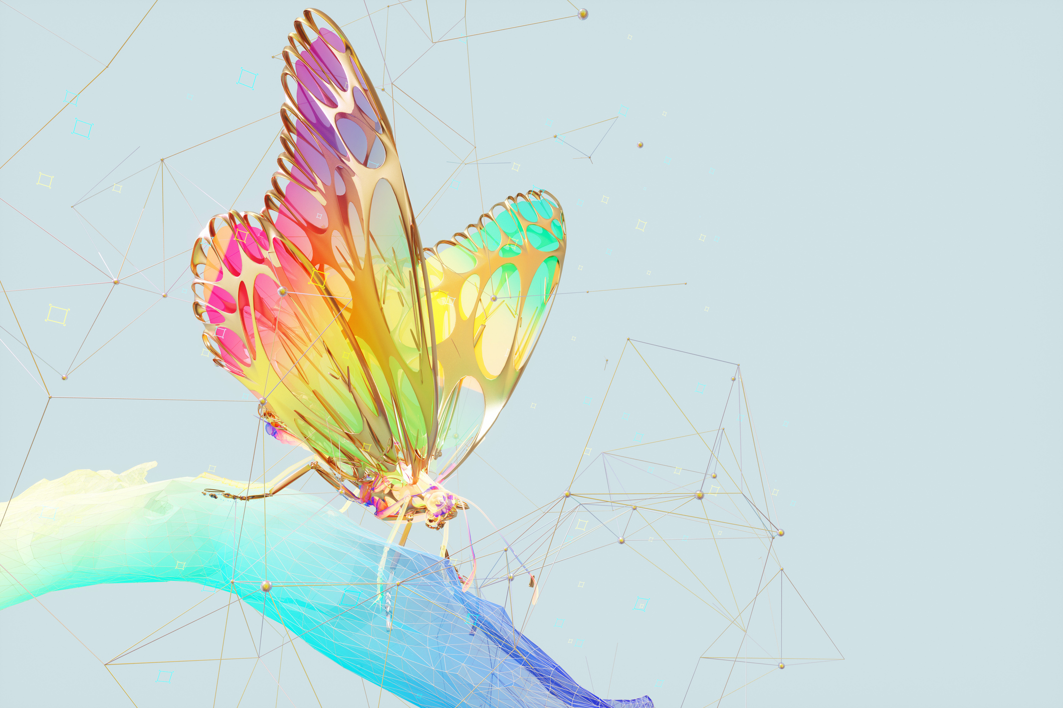 Glasswing Butterfly