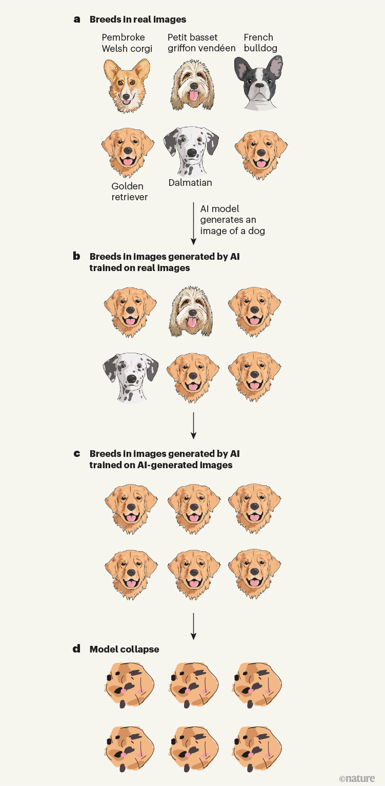 A concept image showing the gradual distortion from real images to AI-generated images and finally to AI training on AI, symbolizing model collapse