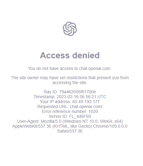 The Access Denied Screen: A Digital Wall