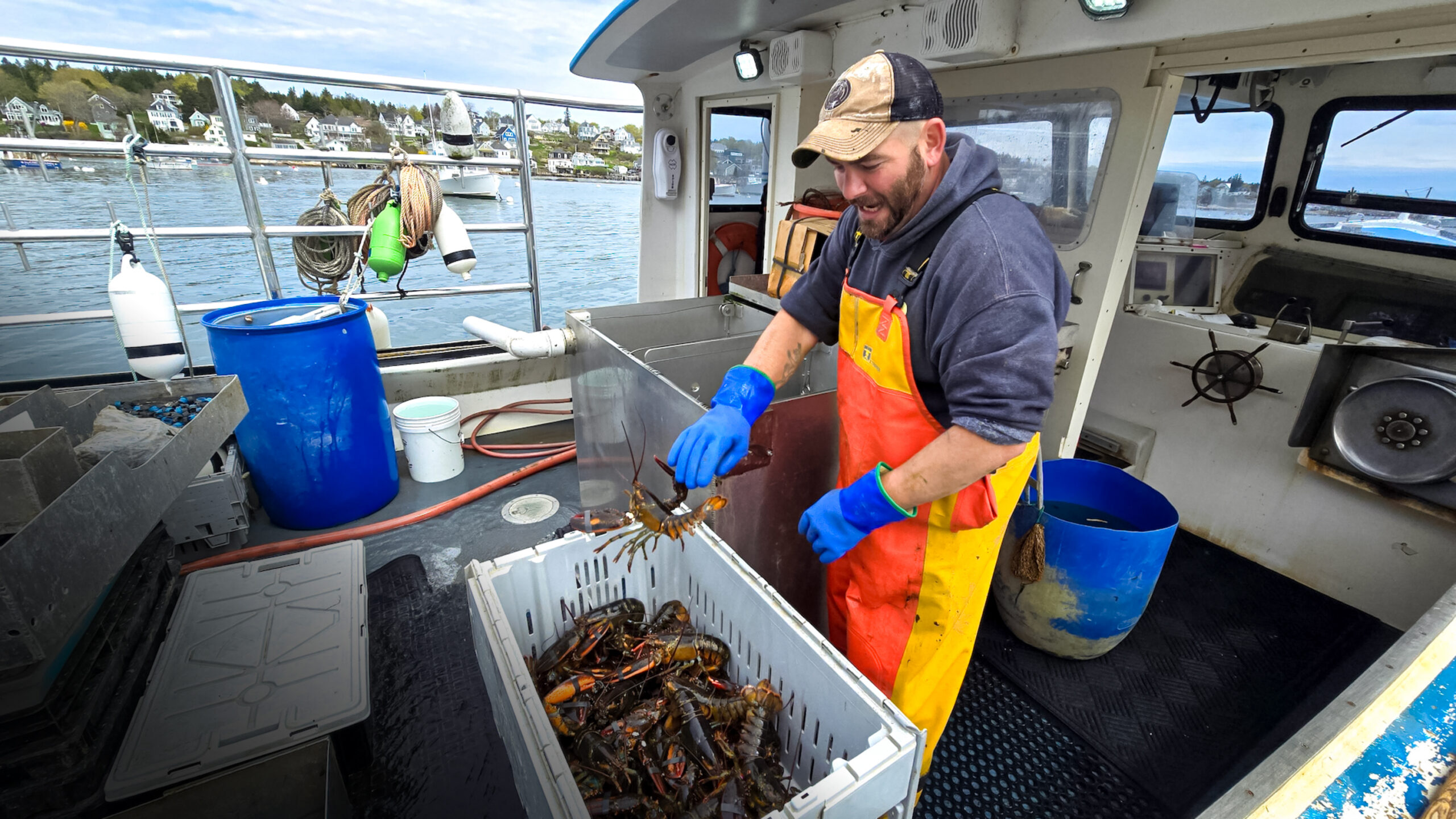 Maine lobster fishermen catching at sea